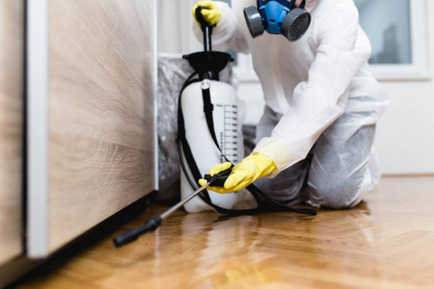 Heber, CA Pest Control Company