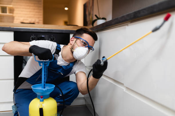 Best Pest Control Near Me  in Heber, CA