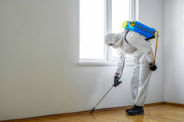Best Emergency Pest Control  in Heber, CA