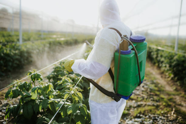 Best Flea Control Services  in Heber, CA